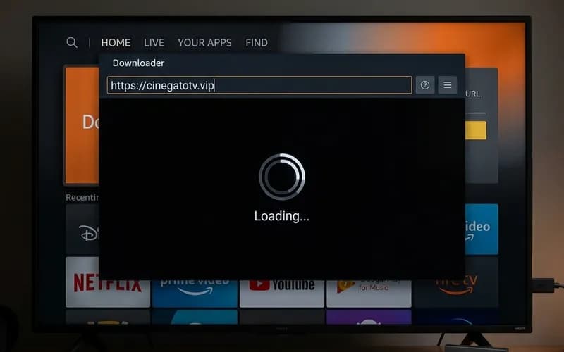 Usando Downloader no Fire TV Stick para baixar Cinegato TV na LG